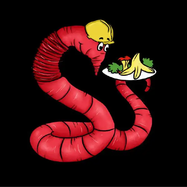 Vermiorganicos de durango