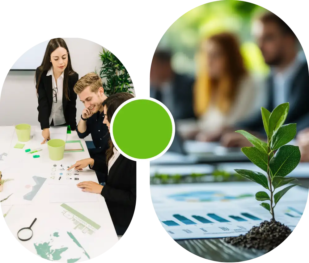 modelo de autosustentabilidad